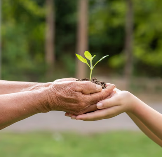 Impôt sur les successions et donations