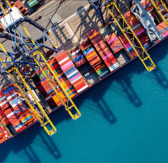 importations de biens